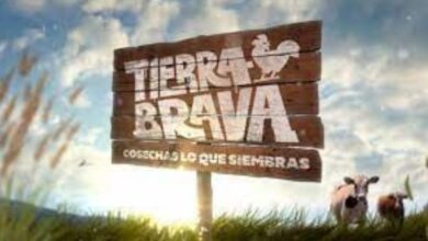 Tierra Brava